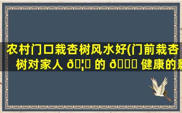 农村门口栽杏树风水好(门前栽杏树对家人 🦁 的 🐅 健康的影响)